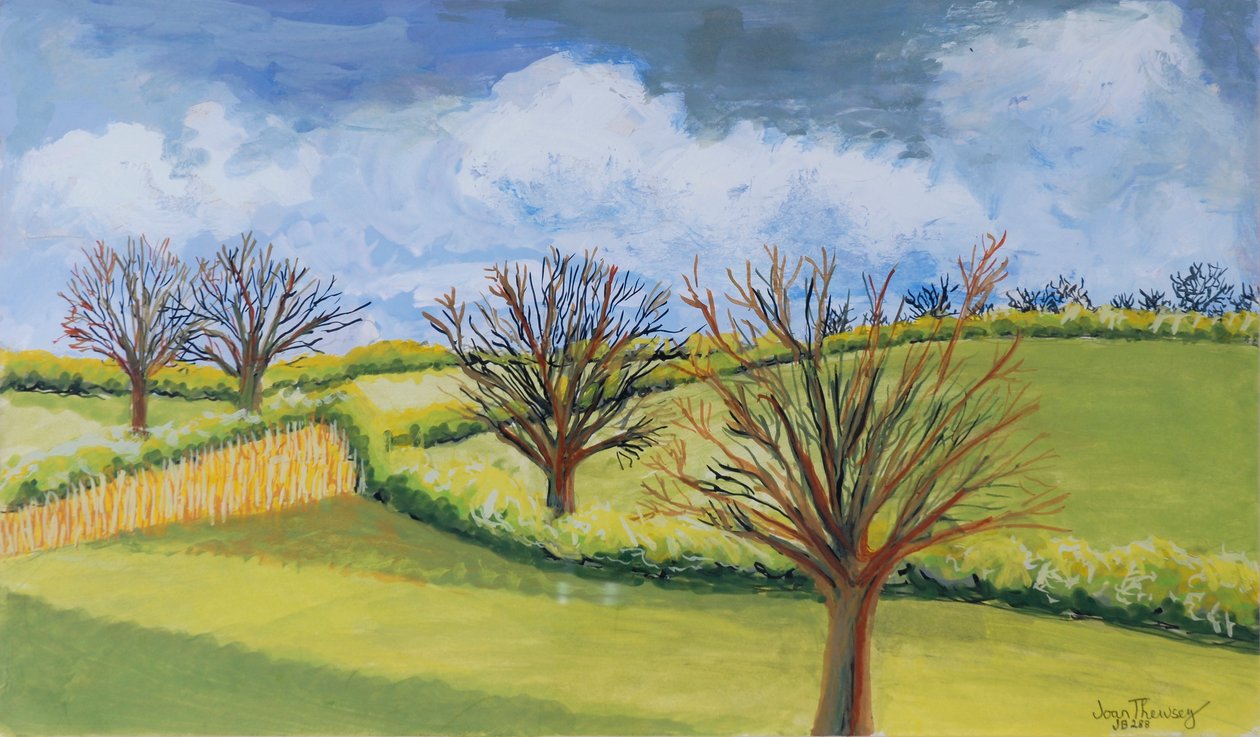 Cielo primaverile del Suffolk da Joan Thewsey