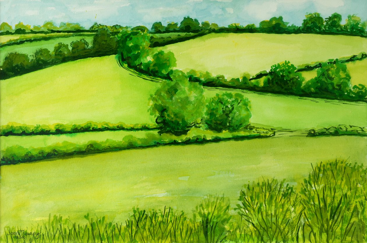 Paesaggio estivo, 2010 da Joan Thewsey