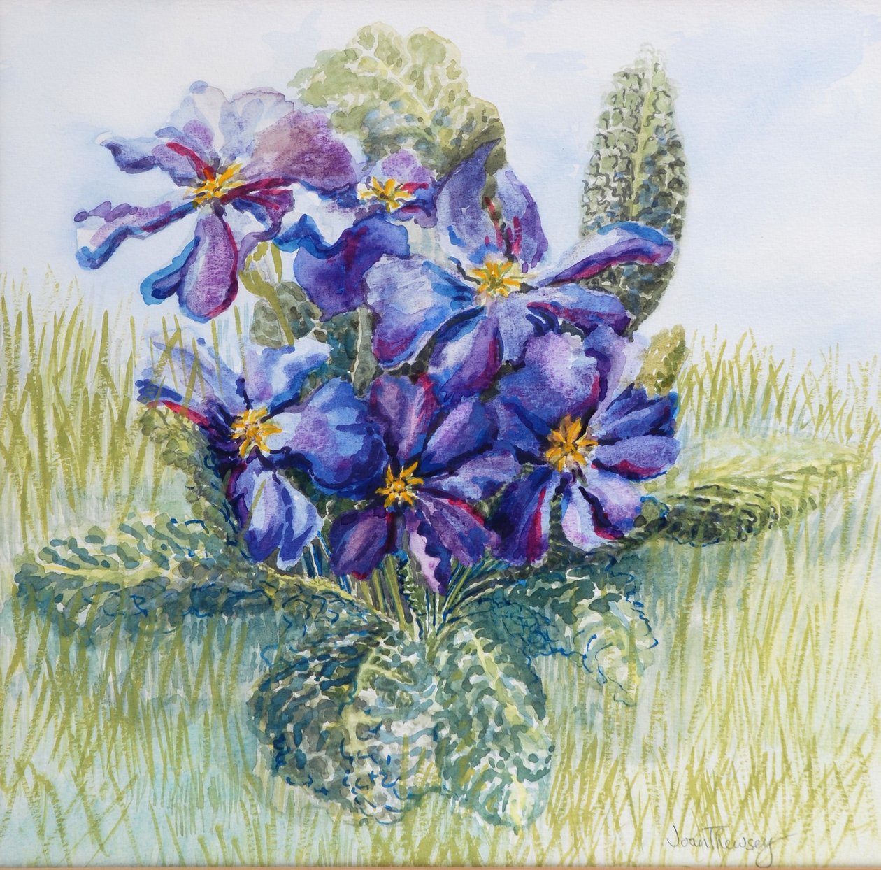 La Primula Malva 2000 da Joan Thewsey