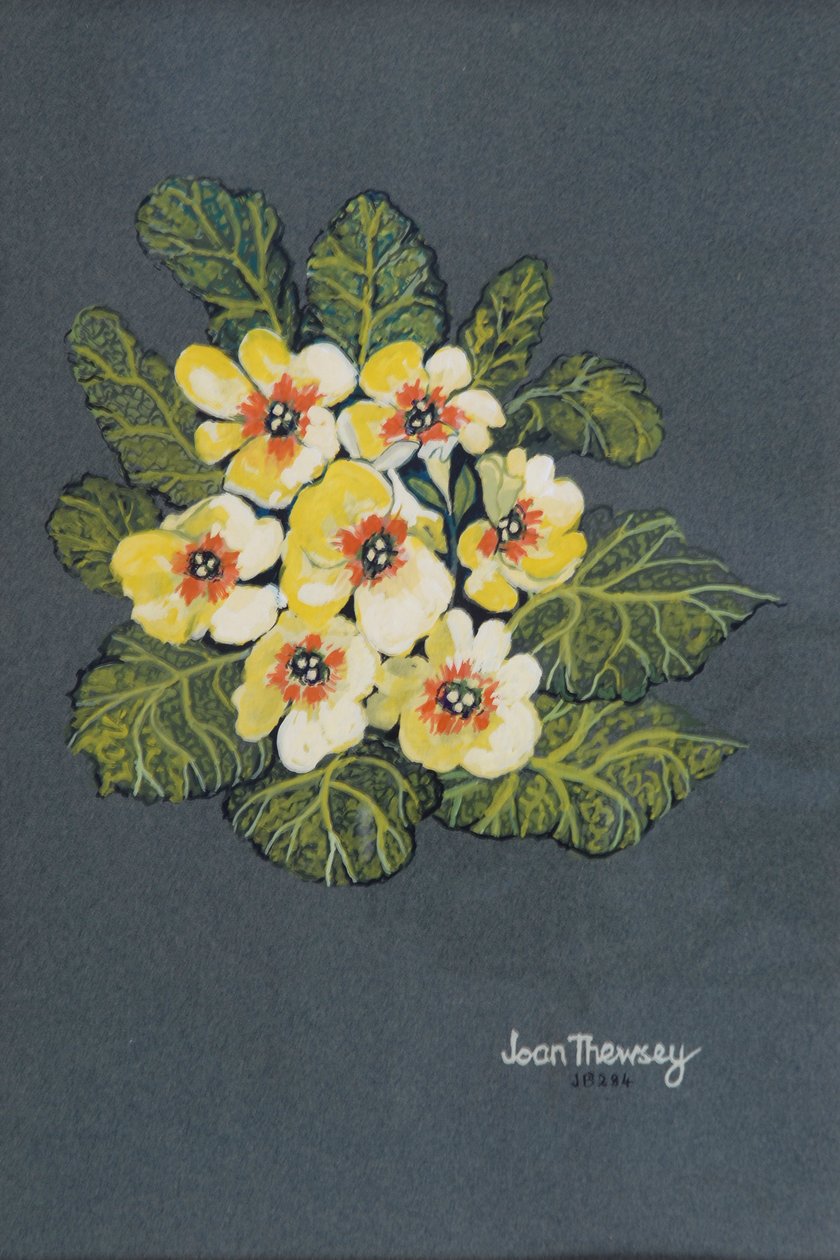 La primula gialla da Joan Thewsey