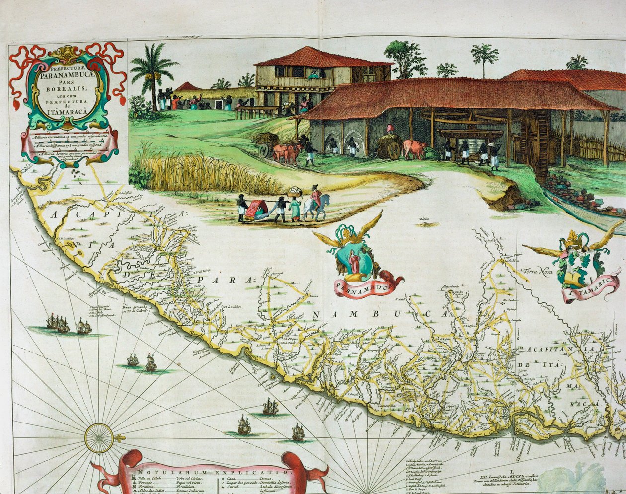 Atlante Maggiore di Joan Blaeu da Joan Blaeu