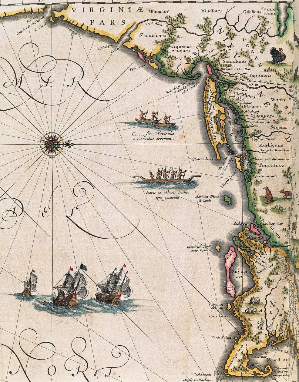 Mappa della costa della Virginia, da Theatrum Orbis Terrarum di Joan Blaeu da Joan Blaeu