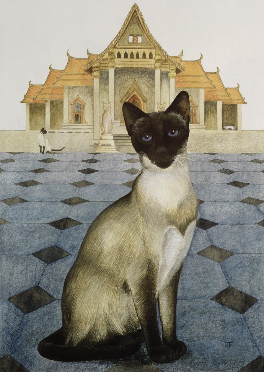 Siamese da Joan Freestone