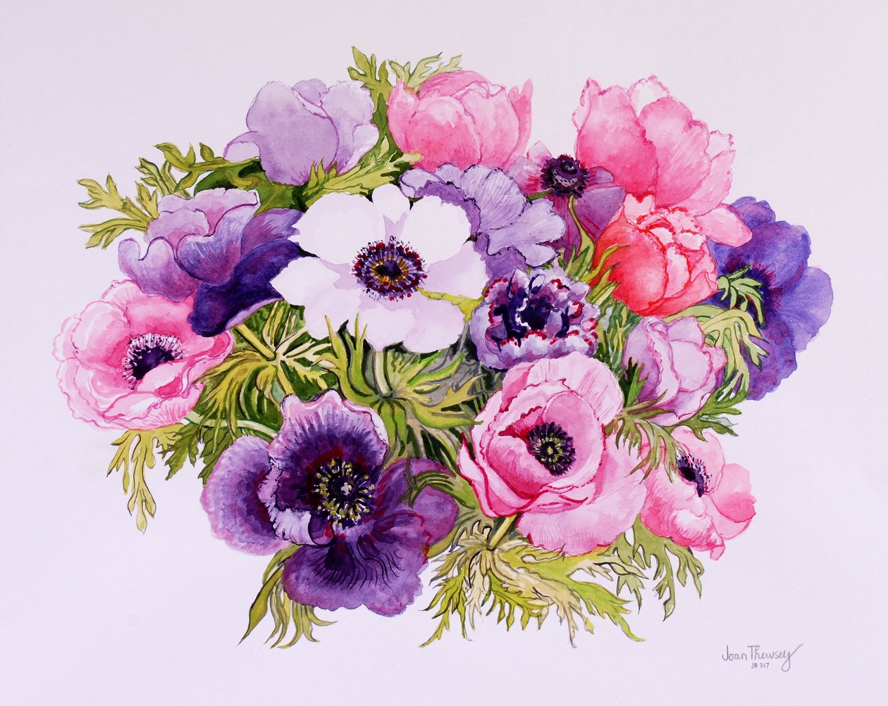 Anemoni da Joan Thewsey