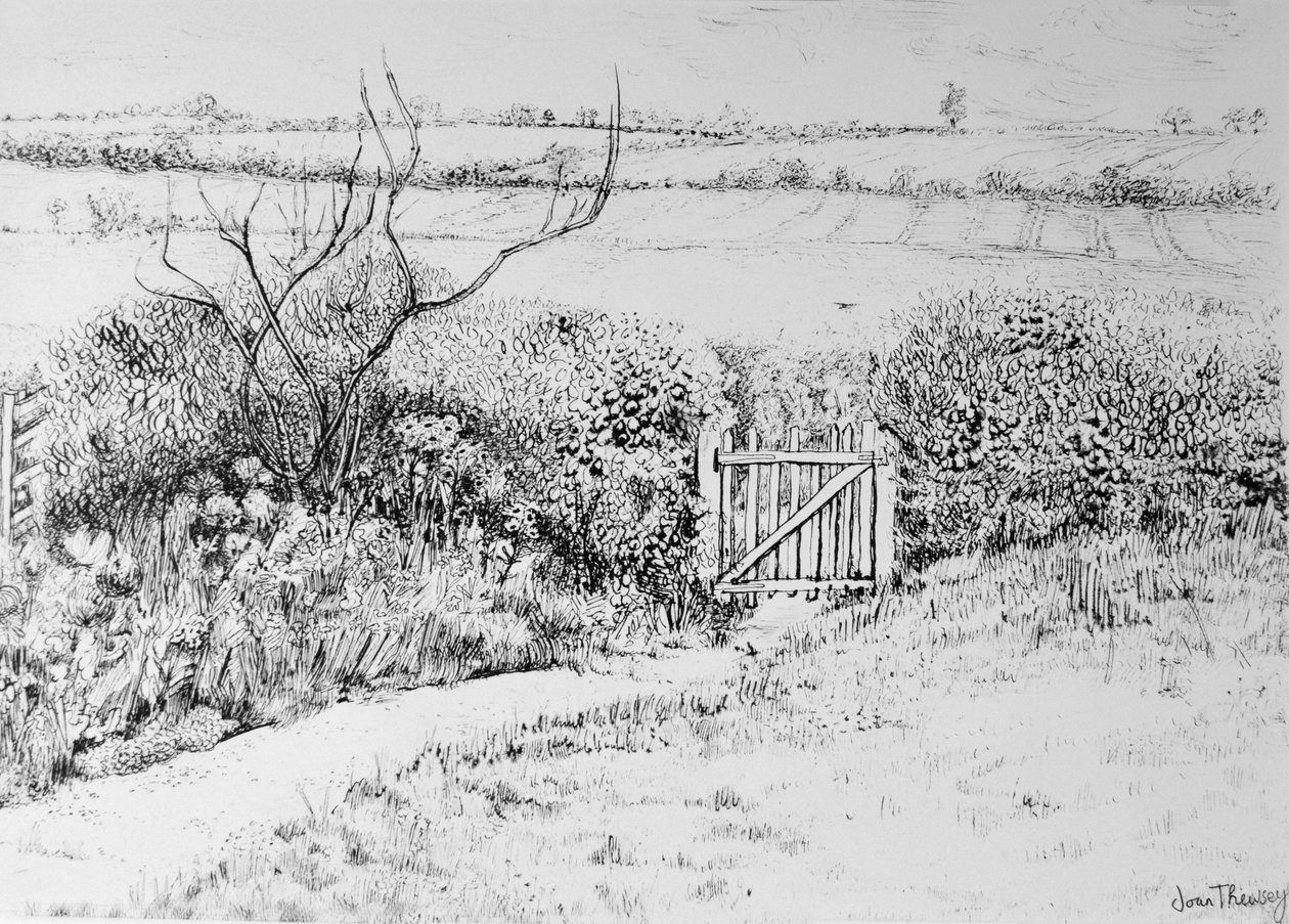Cancello del cottage e vista oltre, 2015 da Joan Thewsey