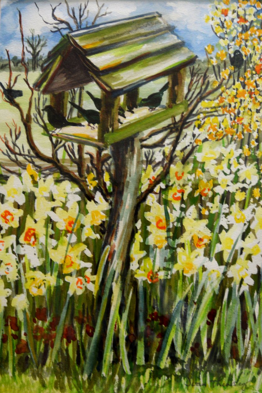 Narcisi e uccelli nella voliera, 2000 da Joan Thewsey