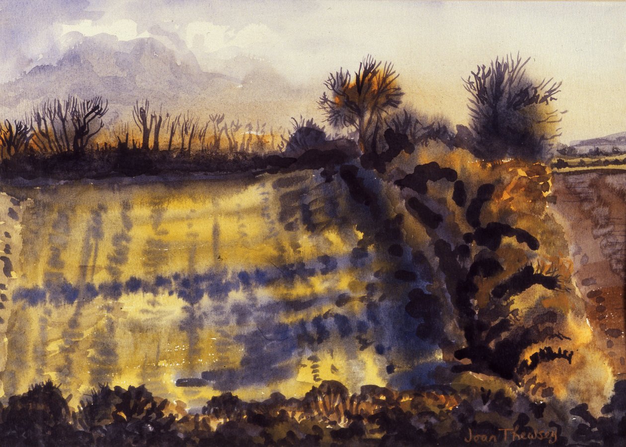Campo con lunghe ombre, 1990 da Joan Thewsey