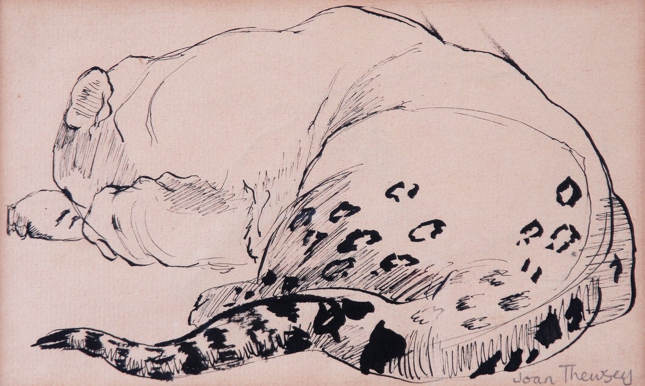 Schizzo, leopardo, zoo di Londra 2005 da Joan Thewsey