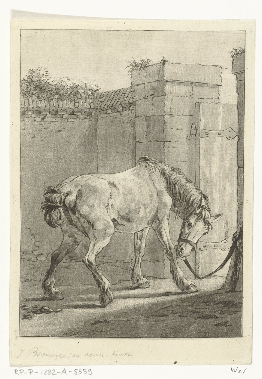 Un cavallo legato a un palo da Joannes Bemme
