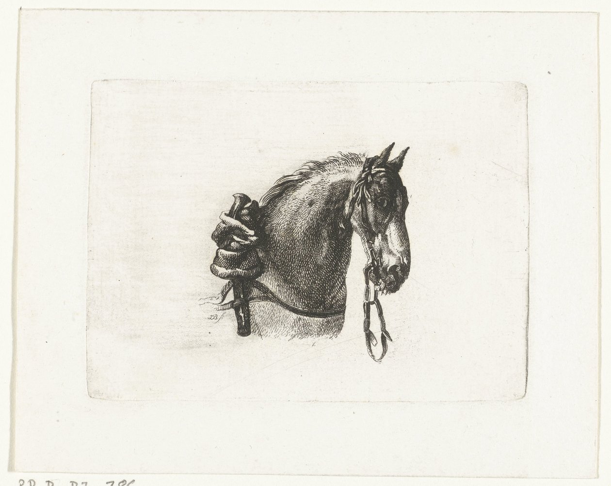 Testa di cavallo verso destra da Joannes Bemme