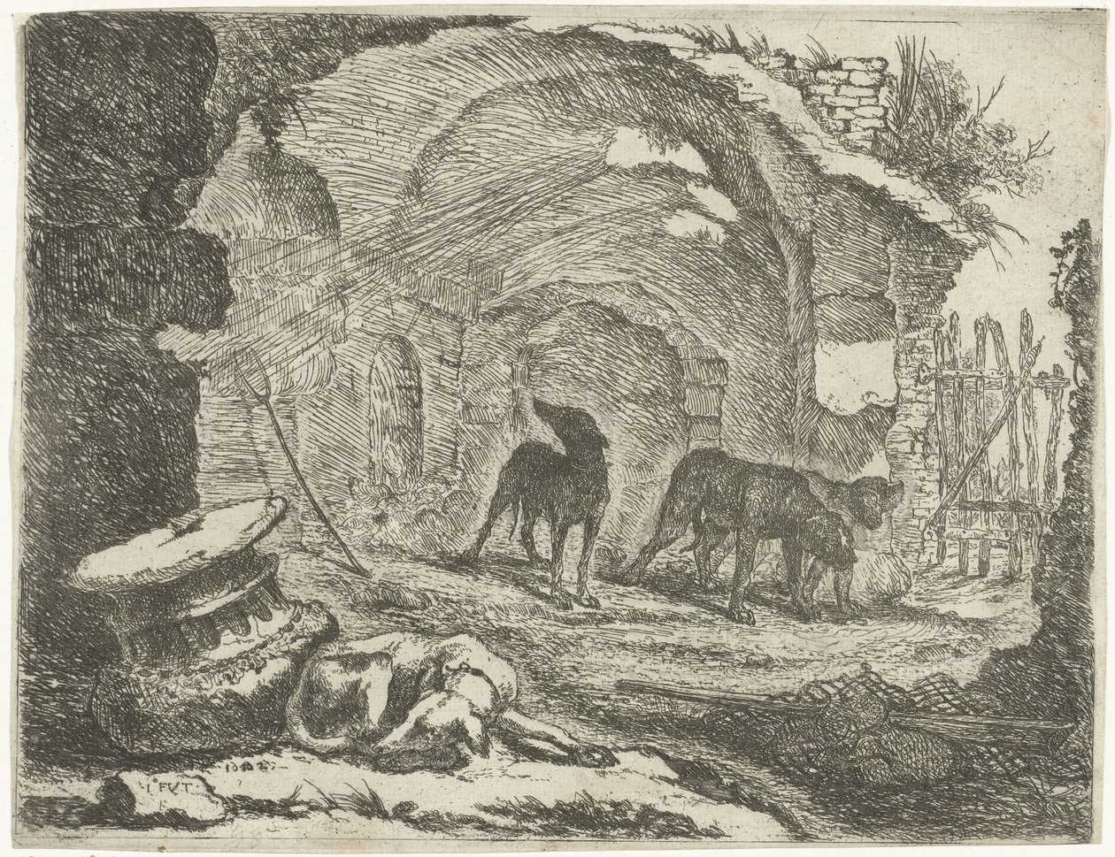 Quattro cani presso una rovina da Joannes Fijt