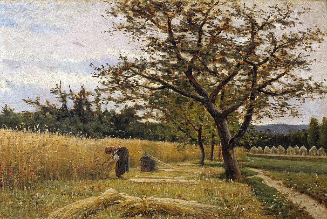 Mietitura da Joaquim Vayreda