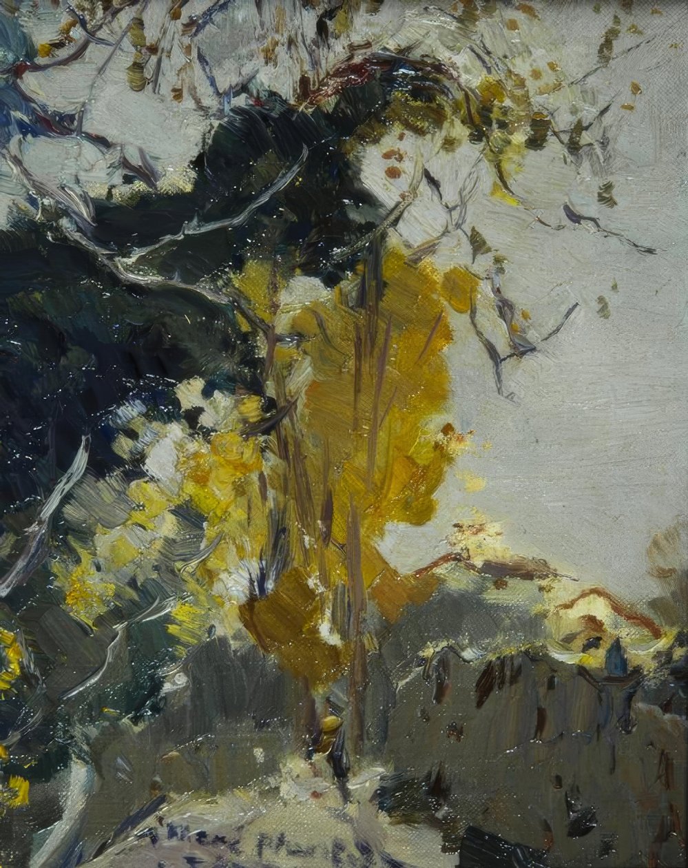 Albero da Joaquim Mir i Trinxet