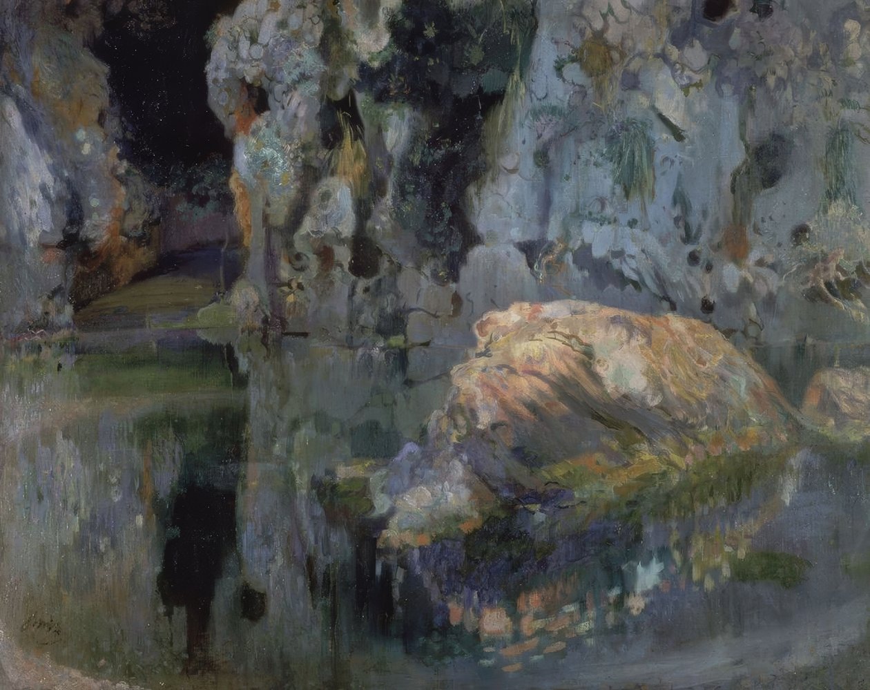El roc de l’estany da Joaquim Mir i Trinxet