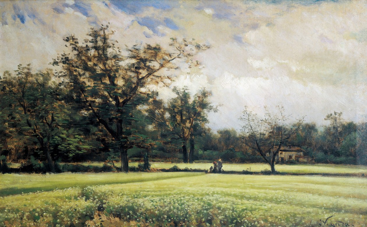Grano saraceno in fiore da Joaquin Vayreda