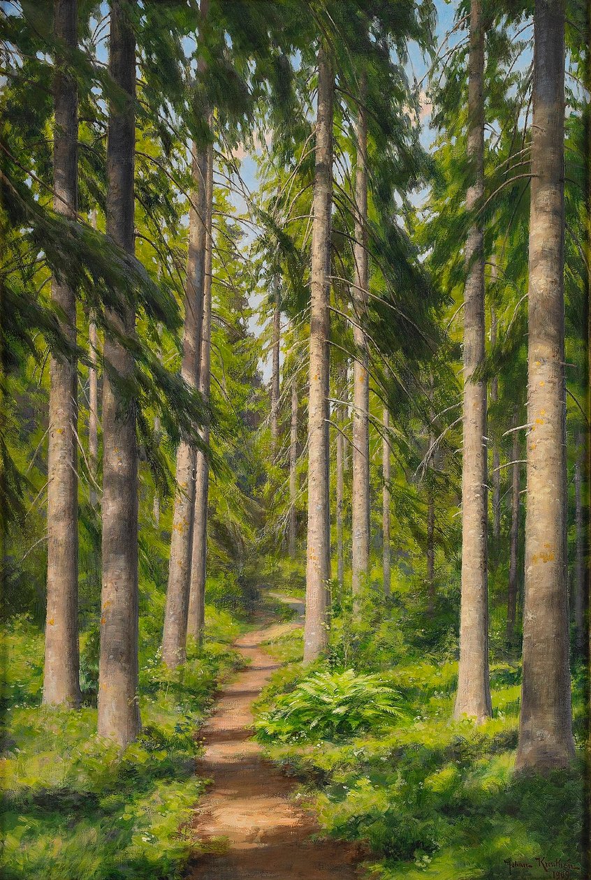 Sentiero forestale illuminato dal sole da Johan Fredrik Krouthen