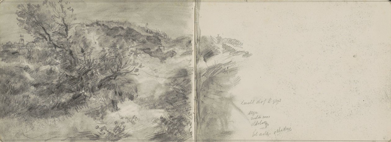 Paesaggio dunale da Johan Antonie de Jonge