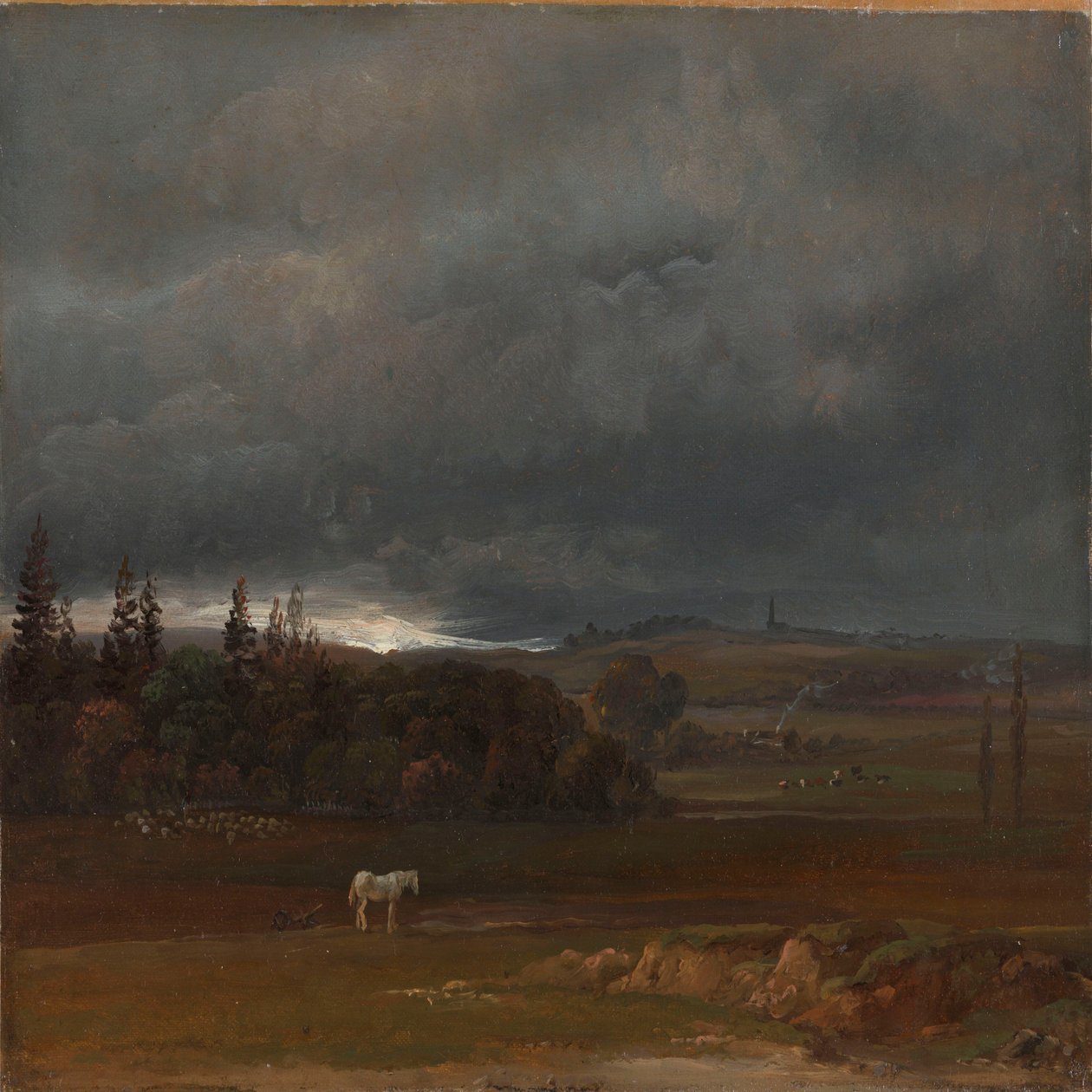 Campo presso Dresda con cavallo bianco da Johan Christian Dahl