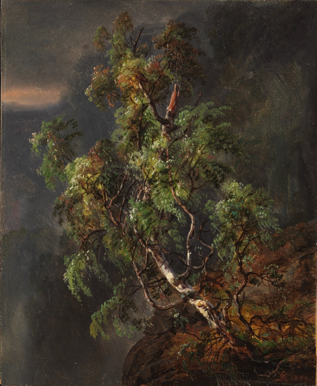Betulla nella tempesta da Johan Christian Dahl