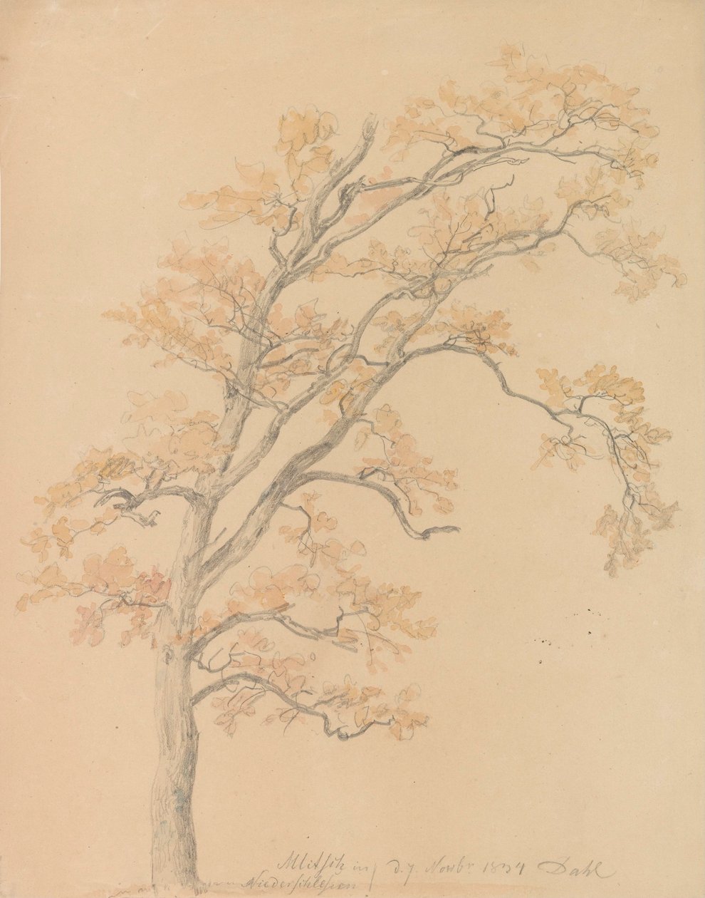 Querce con foglie autunnali, Milicz da Johan Christian Dahl