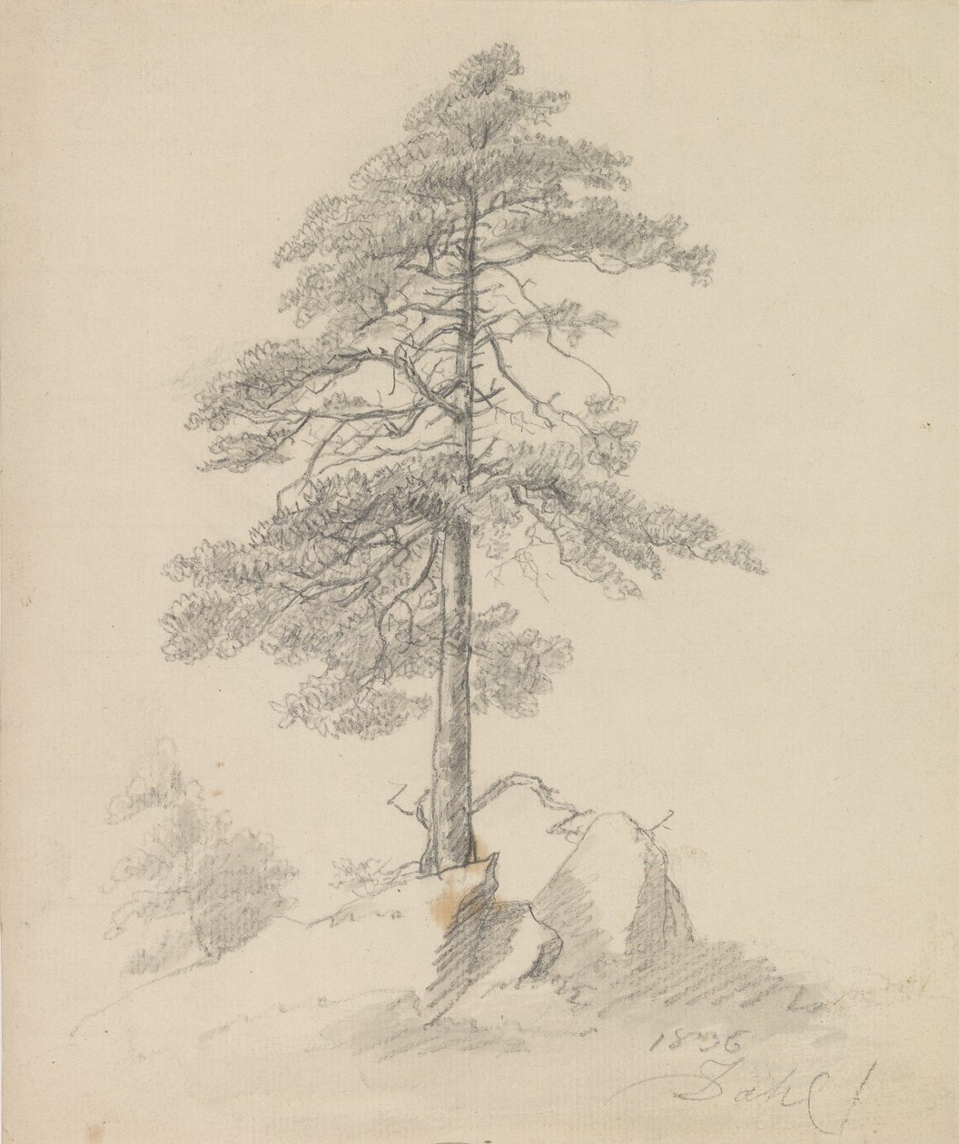 Pini e scogliere da Johan Christian Dahl