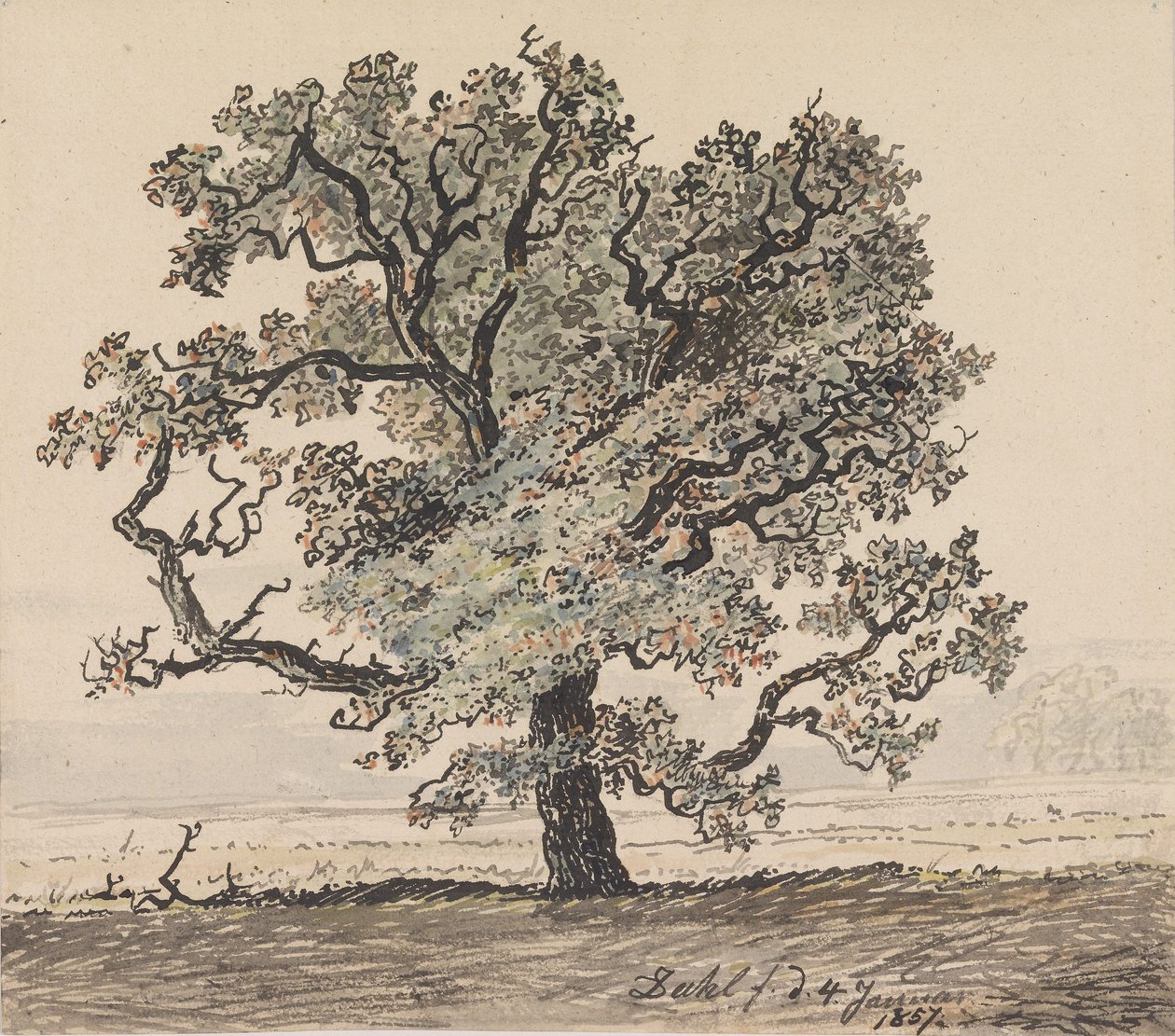 Pini nella pianura da Johan Christian Dahl