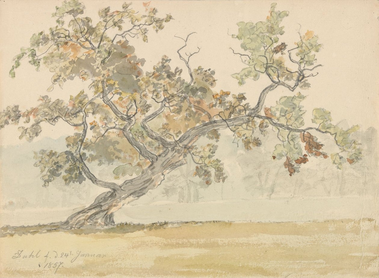 Vecchia quercia da Johan Christian Dahl