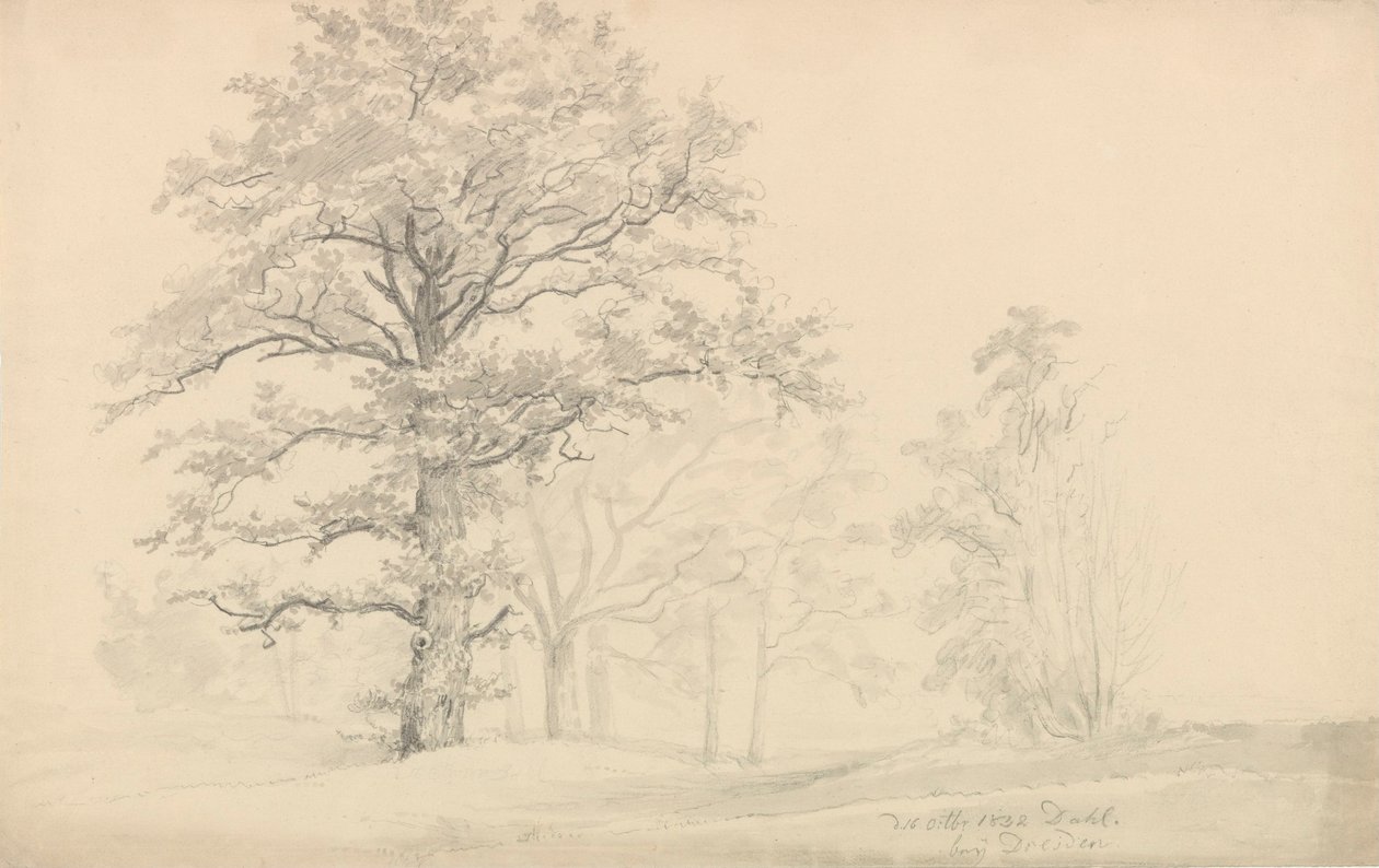 Alberi a foglia caduca da Johan Christian Dahl
