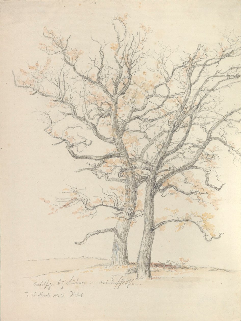Due querce da Johan Christian Dahl