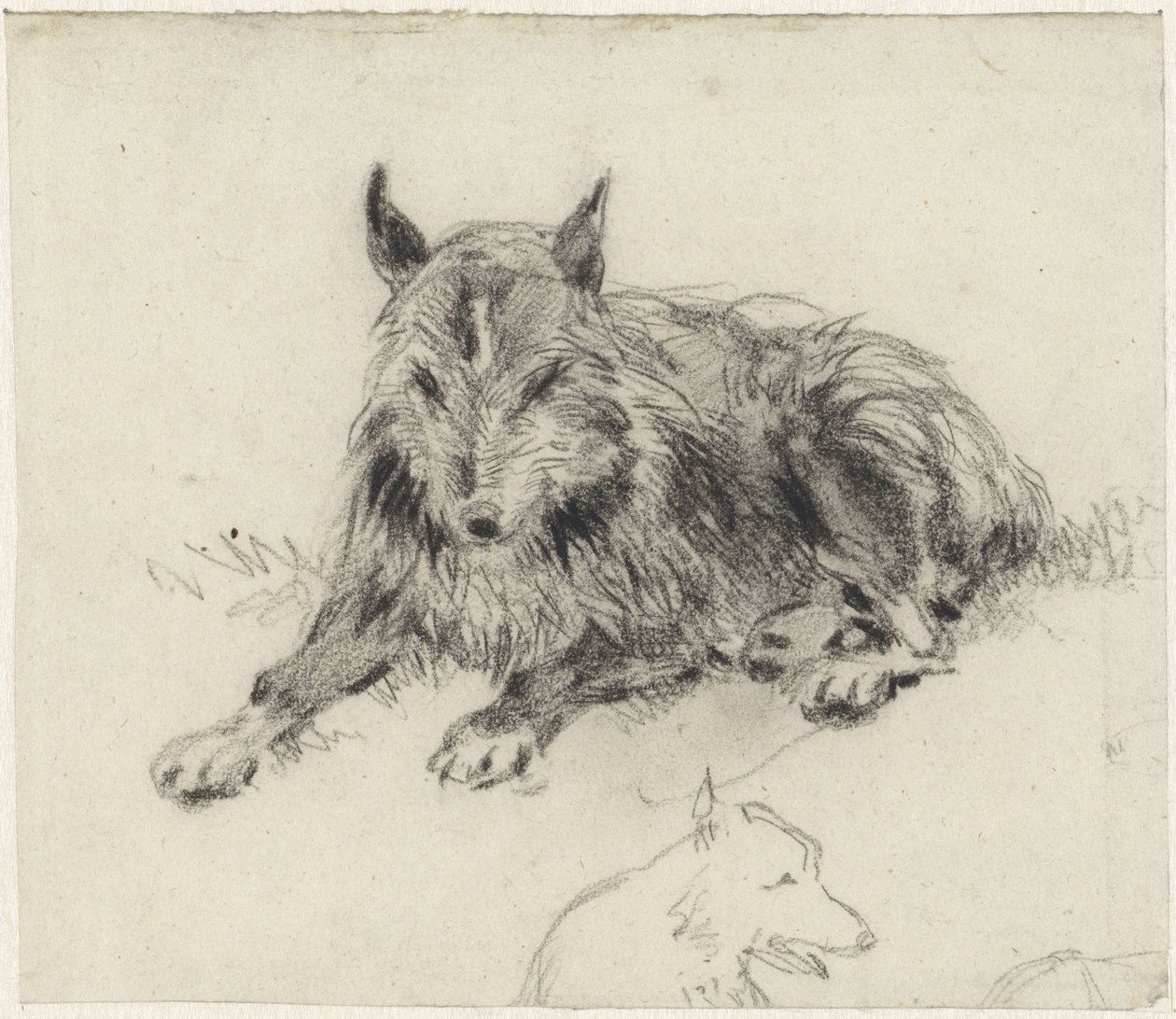 Cane da pastore sdraiato da Johan Daniël Koelman