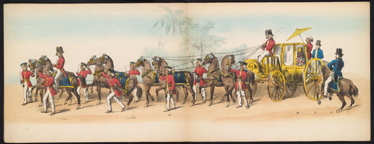 Mascherata degli studenti di Delft, 1857 (tav. 3) da Johan Hendrik Hoffmeister