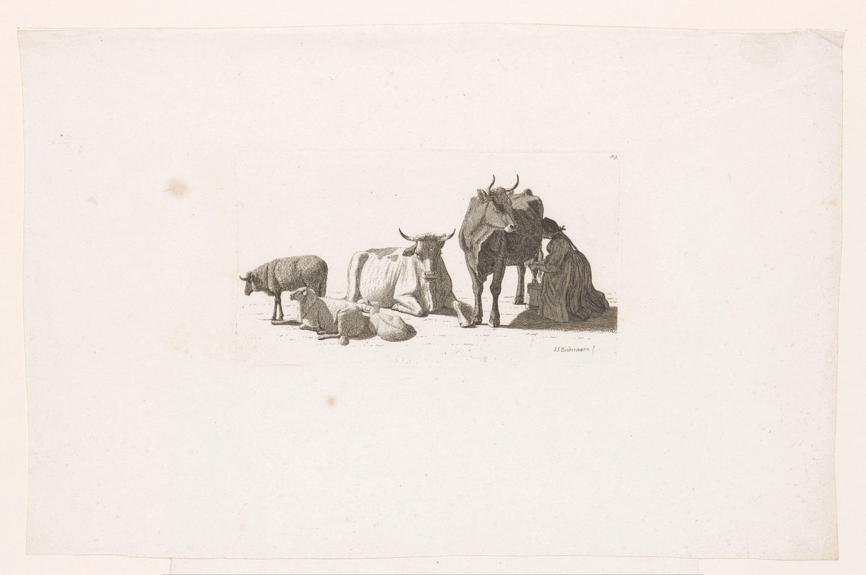 Donna che munge una mucca, con bovini e pecore da Johan Jakob Biedermann