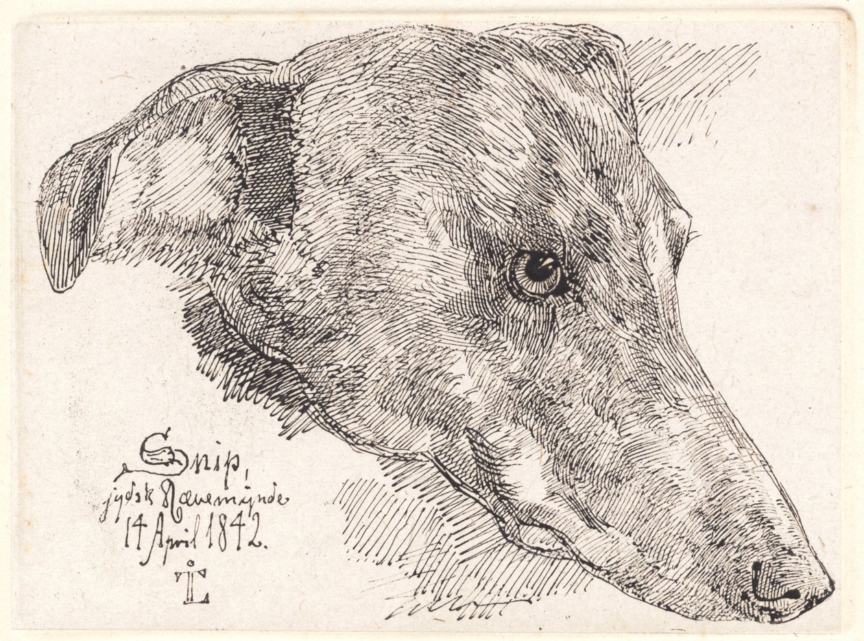 Danese: Hundehoved, Snip da Johan Lundbye