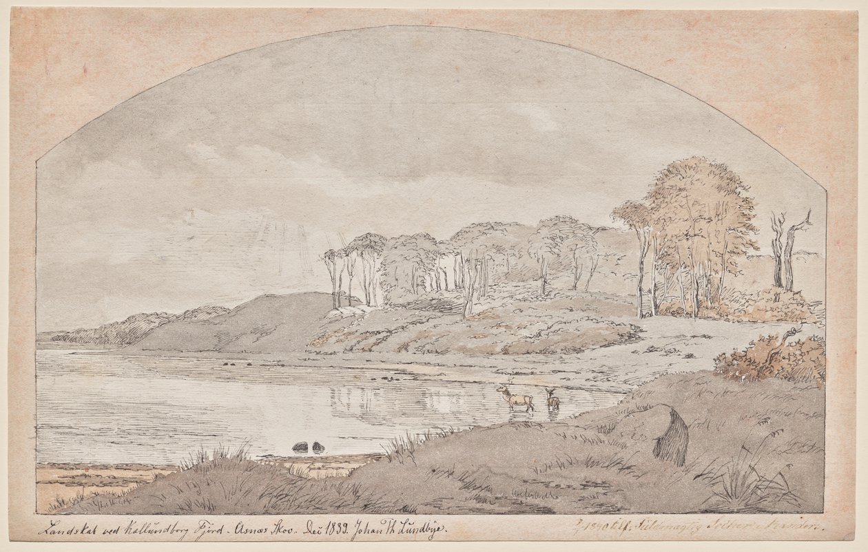 Bosco di Asnæs, baia del fiordo di Kalundborg da Johan Thomas Lundbye