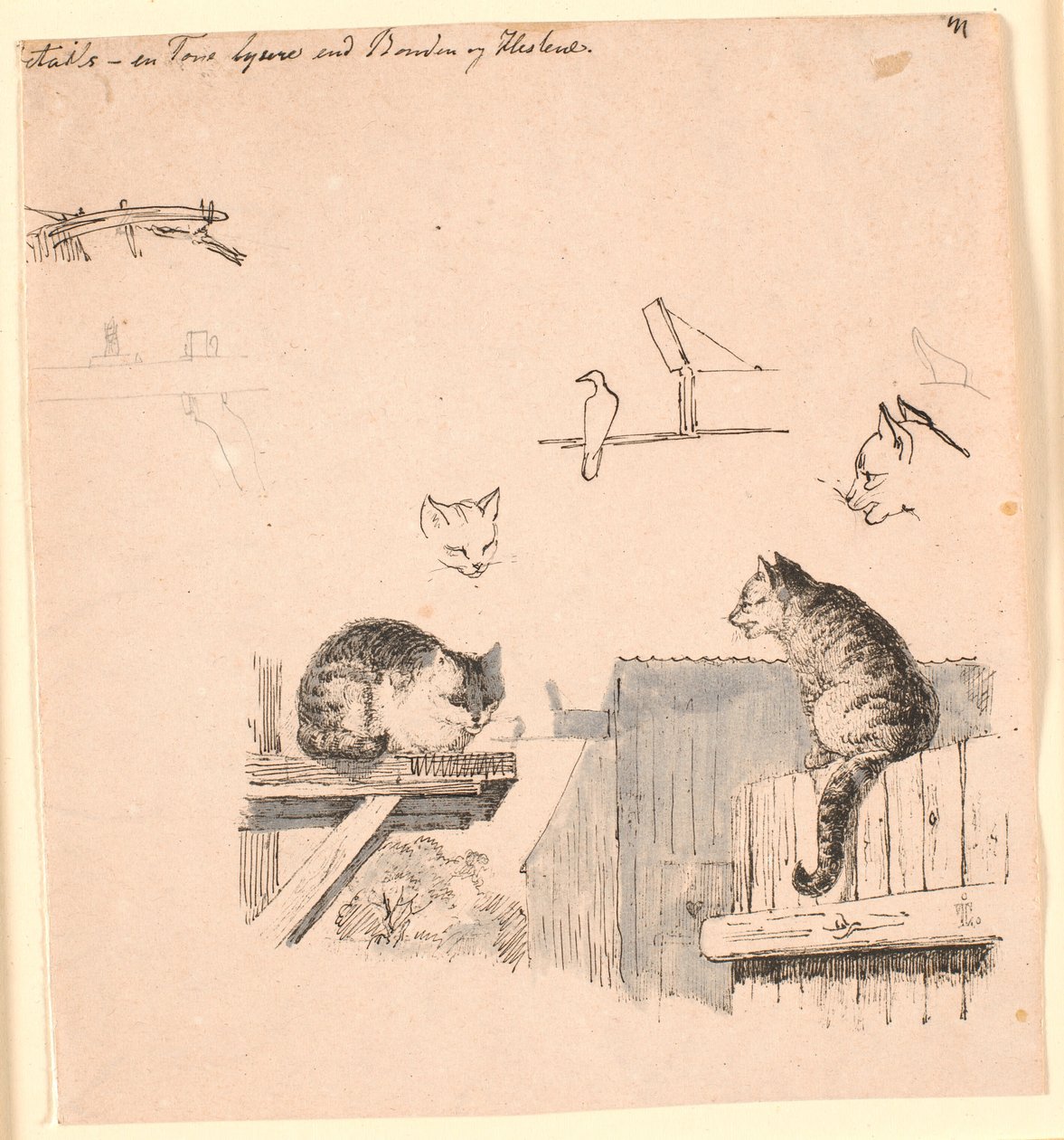 I due gatti. Studi di teste di gatto, un uccello, un orecchio di gatto e travi. Illustrazione per "Favole per bambini" di Kaalund. Vedi commento dal catalogo. da Johan Thomas Lundbye