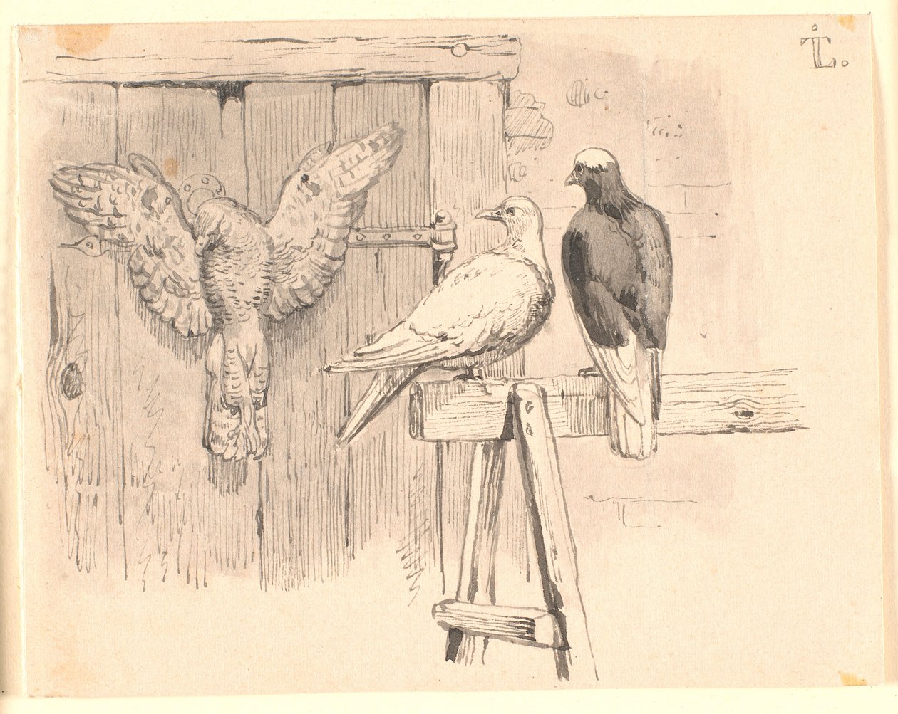 Le colombe da Johan Thomas Lundbye