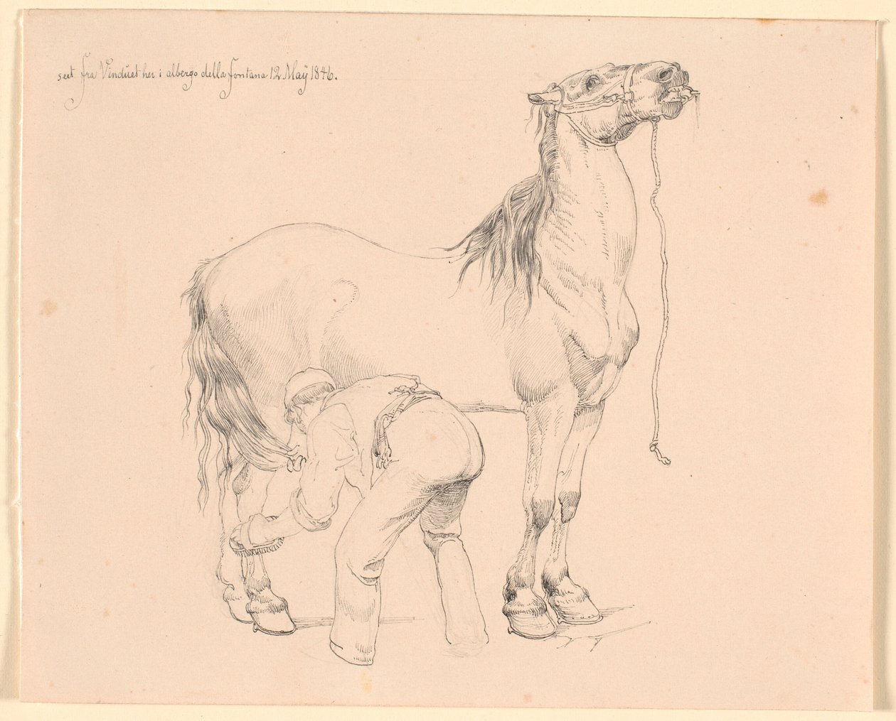 Un cavallo viene strigliato da Johan Thomas Lundbye
