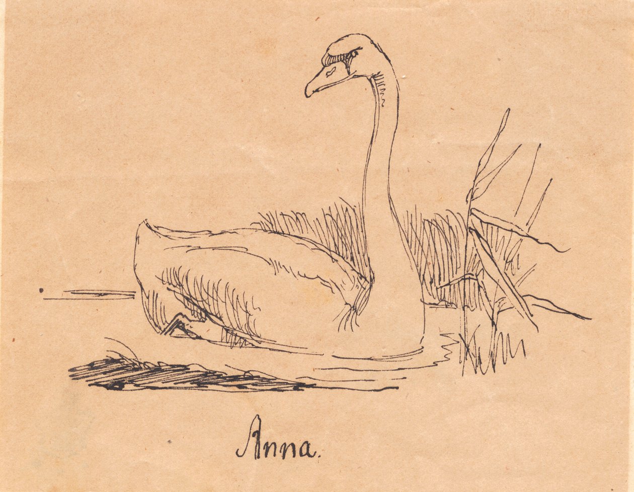 Una cigno da Johan Thomas Lundbye