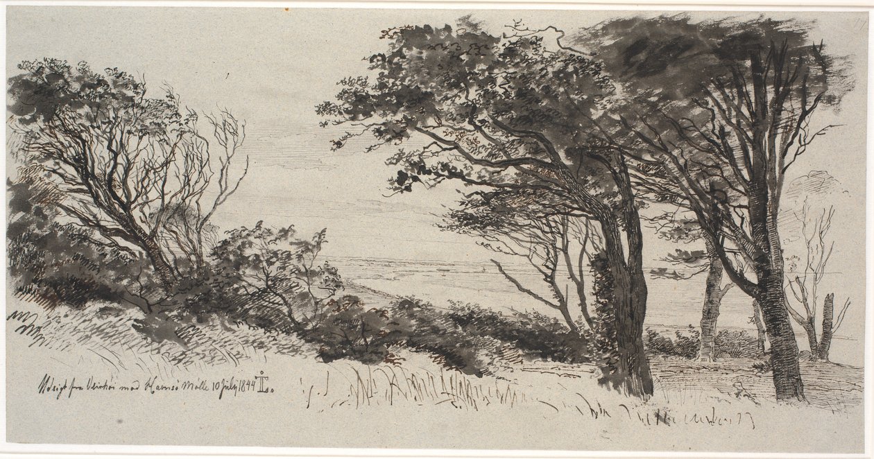 Alberi spazzati dal vento. Vejrhøj da Johan Thomas Lundbye