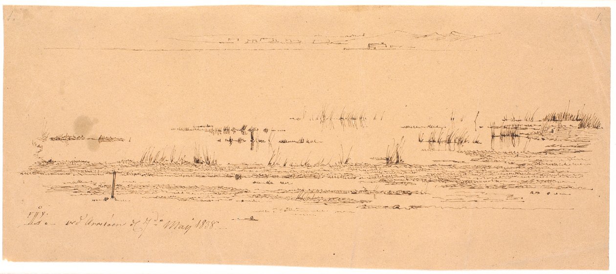 Studio del primo piano di una riva del lago da Johan Thomas Lundbye