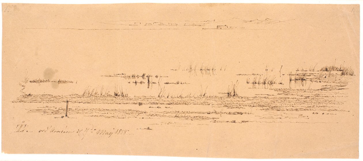 Studio del primo piano di una riva del lago da Johan Thomas Lundbye