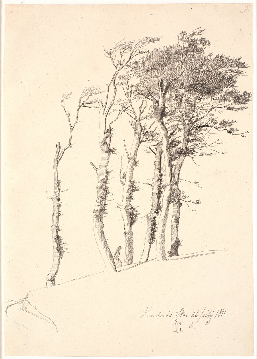 Gruppo di alberi piegati dal vento da Johan Thomas Lundbye