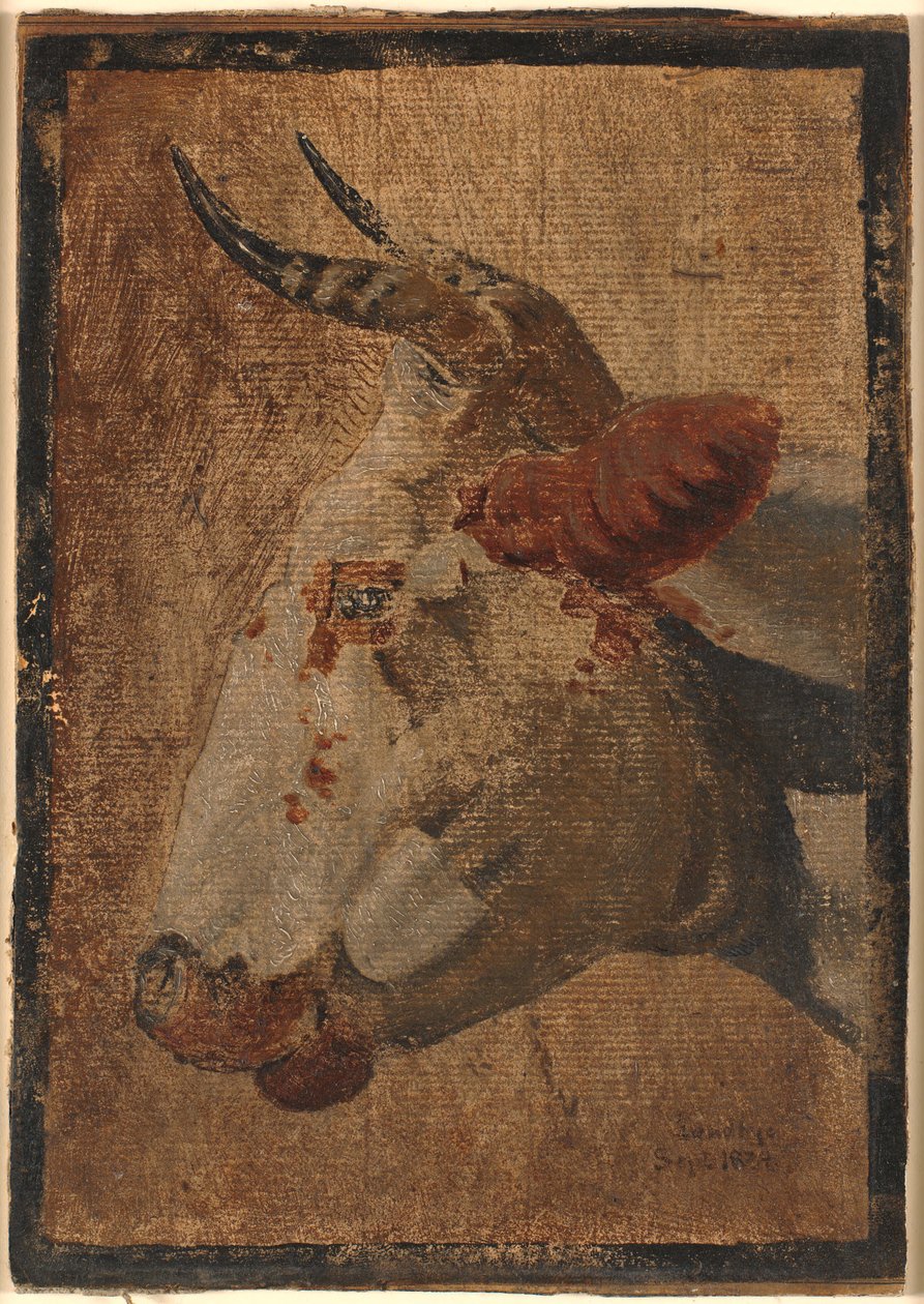 Testa di una mucca pezzata bianca, profilo a sinistra da Johan Thomas Lundbye