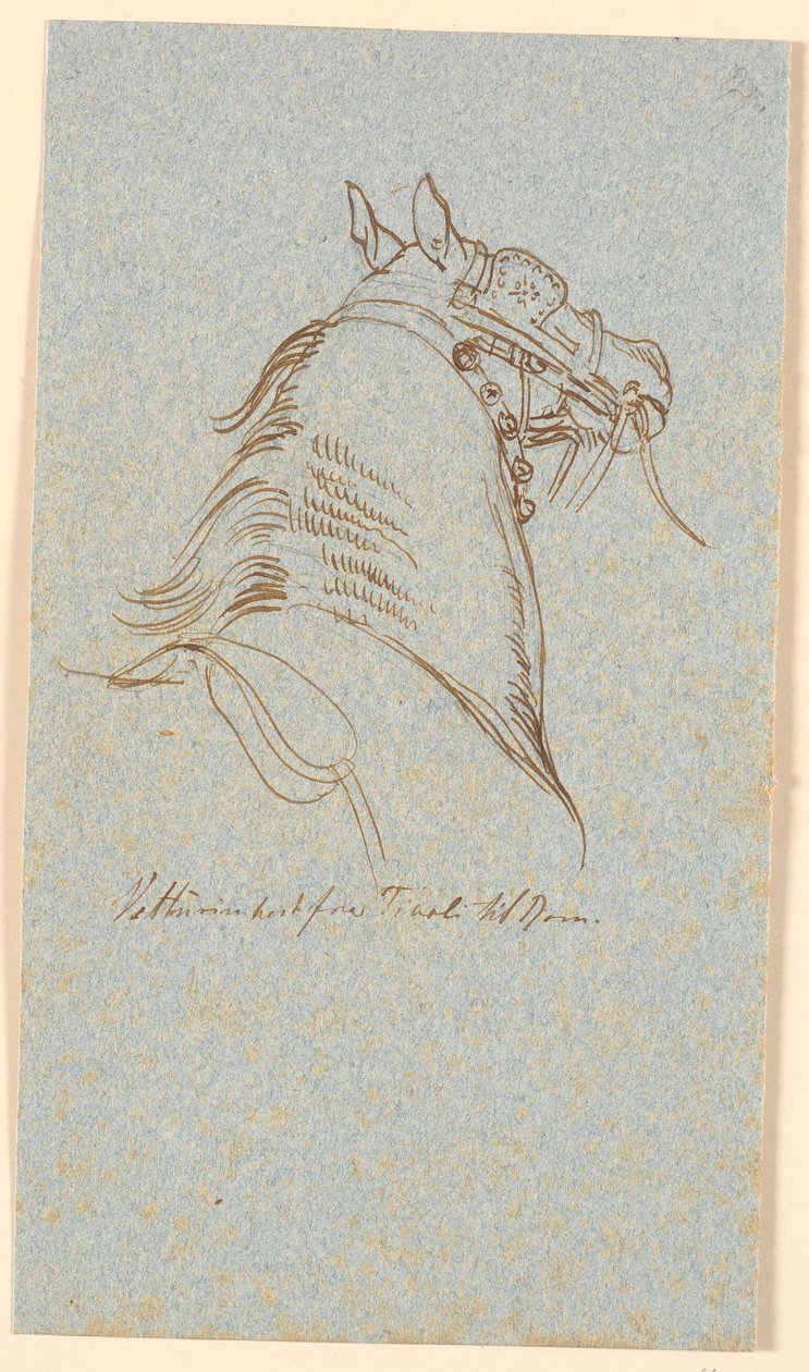 Testa e collo di cavallo Vetturino da Johan Thomas Lundbye