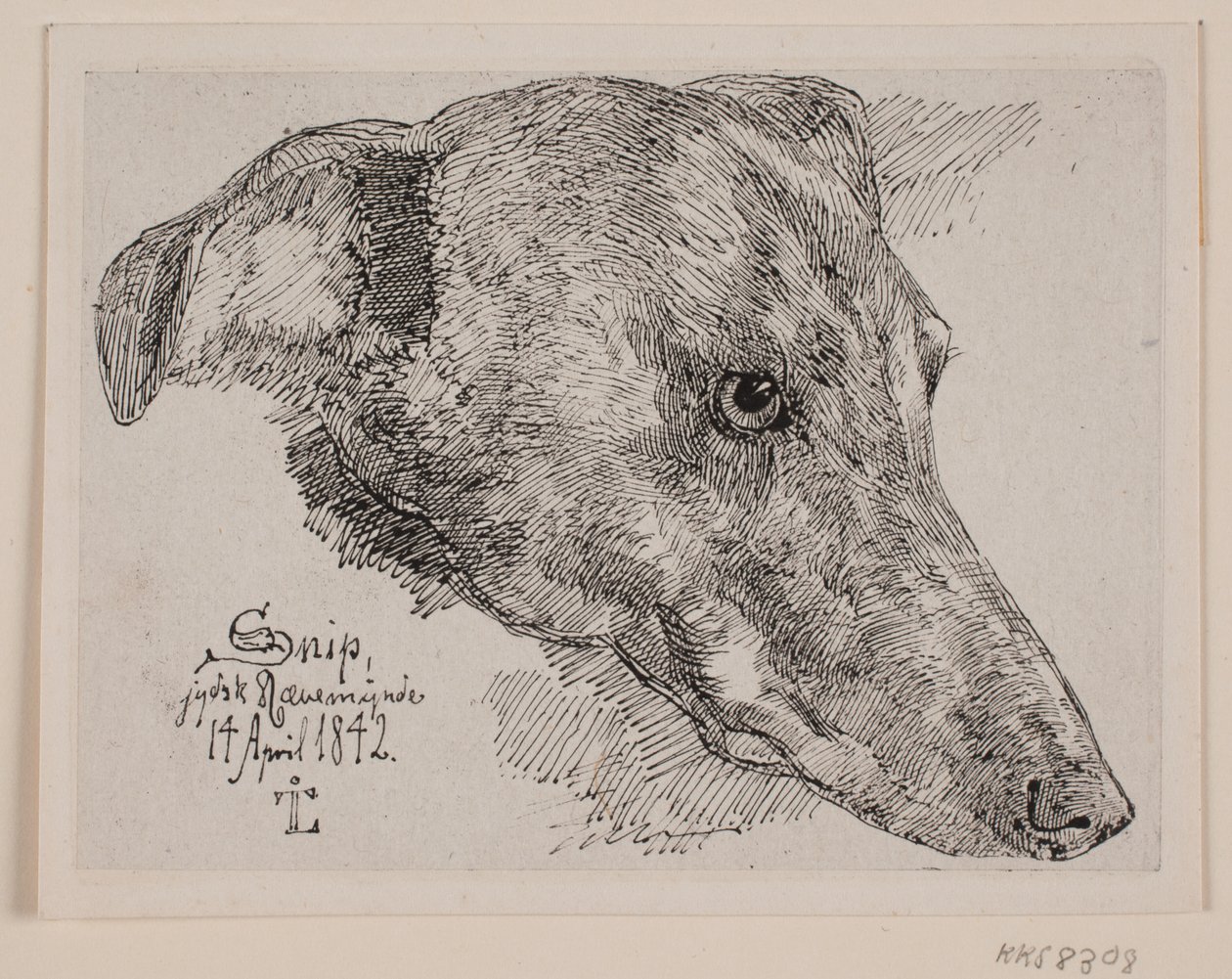 Testa di cane, Snip da Johan Thomas Lundbye
