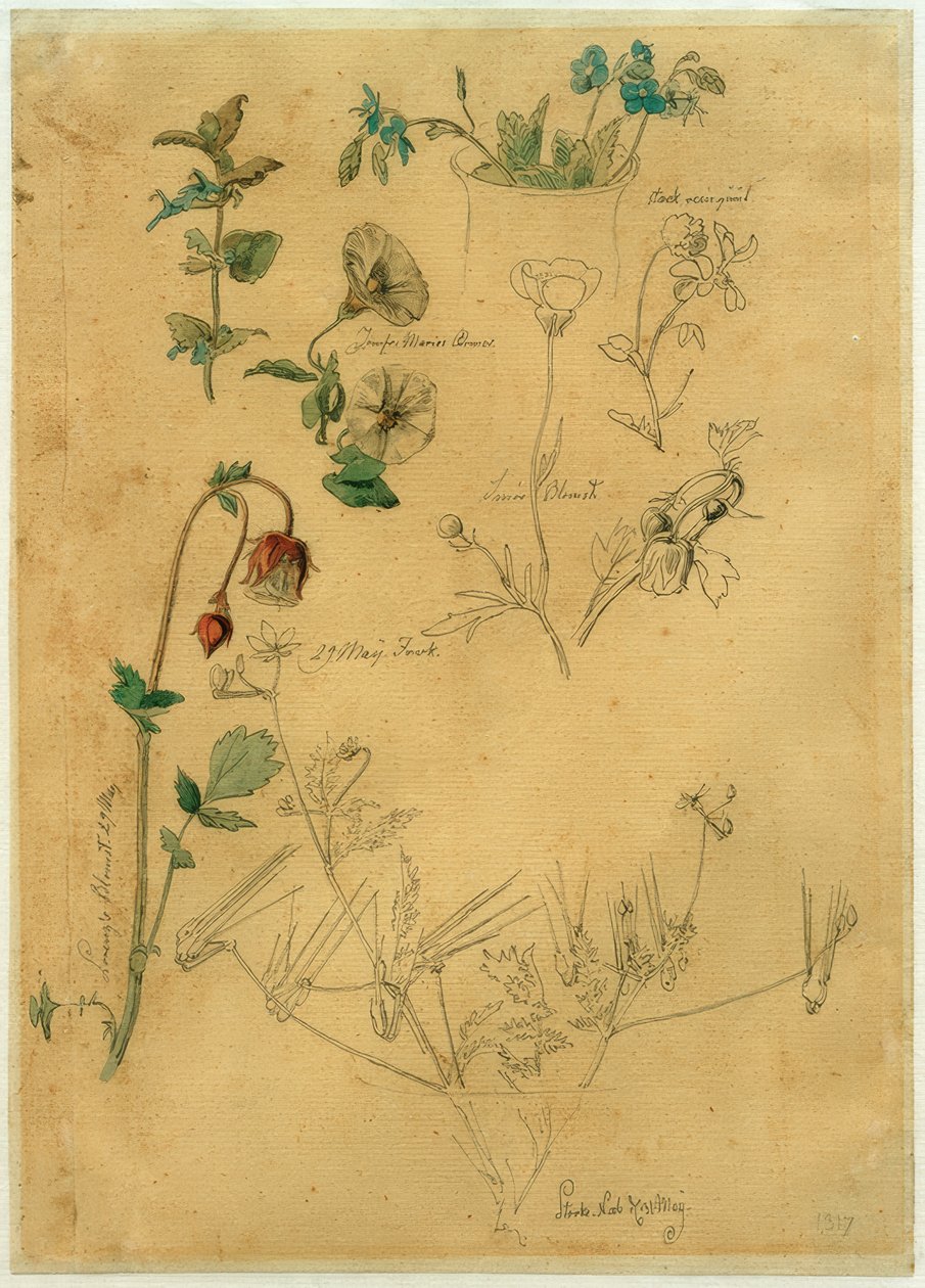 J. Th. Lundbye, Studio di piante da Johan Thomas Lundbye