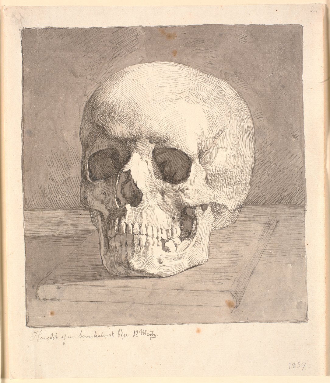 Cranio, visto di fronte da Johan Thomas Lundbye