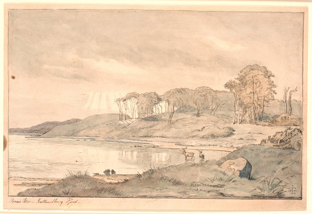 Paesaggio da Johan Thomas Lundbye