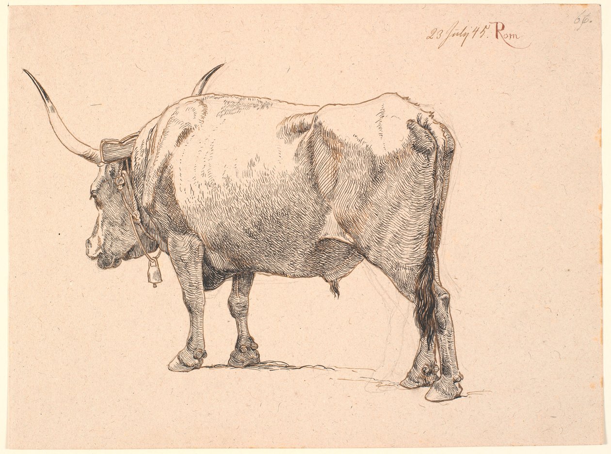 Toro romano con campana al collo, visto da dietro da Johan Thomas Lundbye