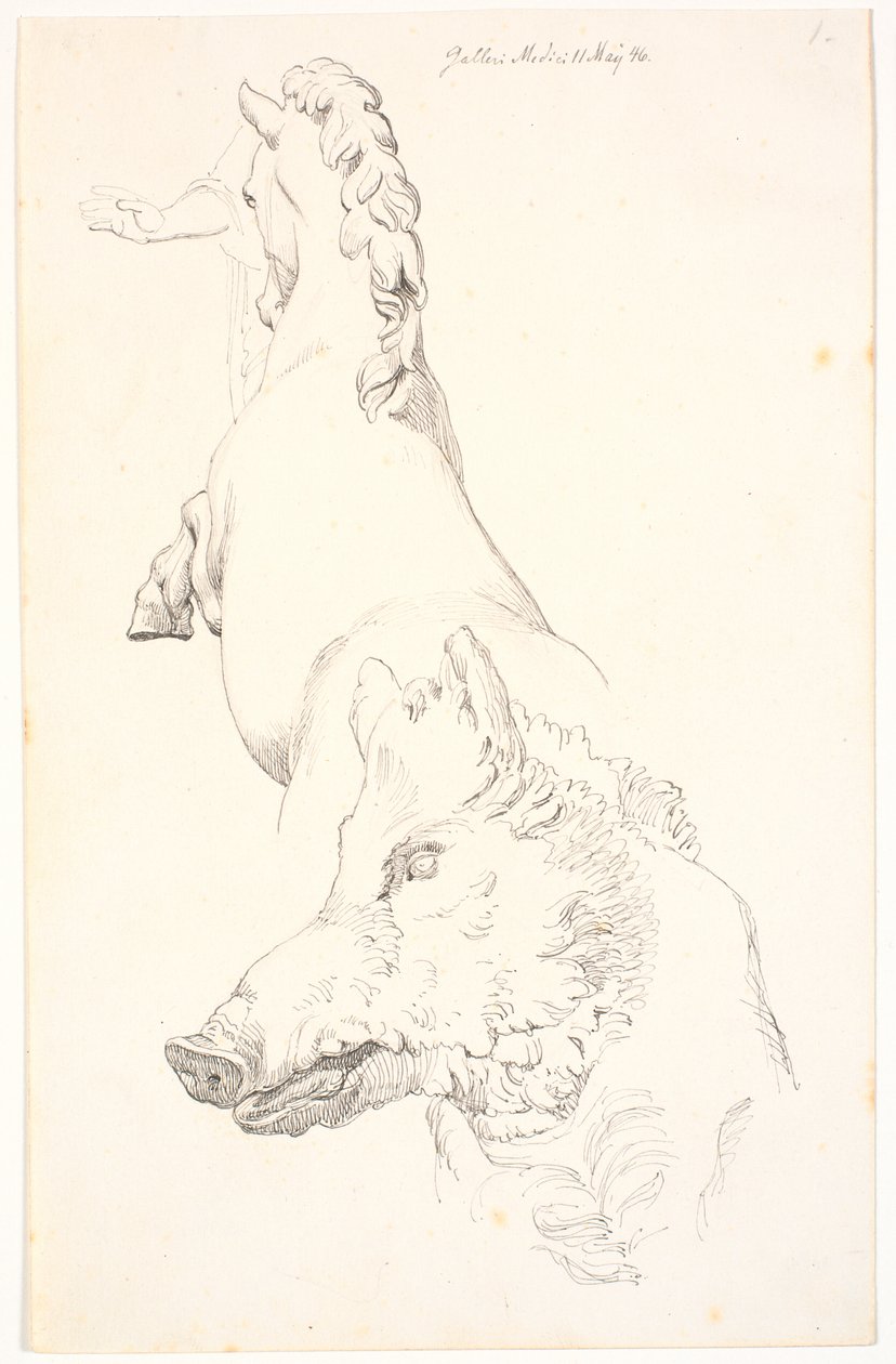 Studio di sculture antiche: Testa di cinghiale, torso di cavallo impennato visto da dietro e un braccio con drappeggio da Johan Thomas Lundbye
